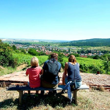 Villa Vinica Limbach Bagian luar foto