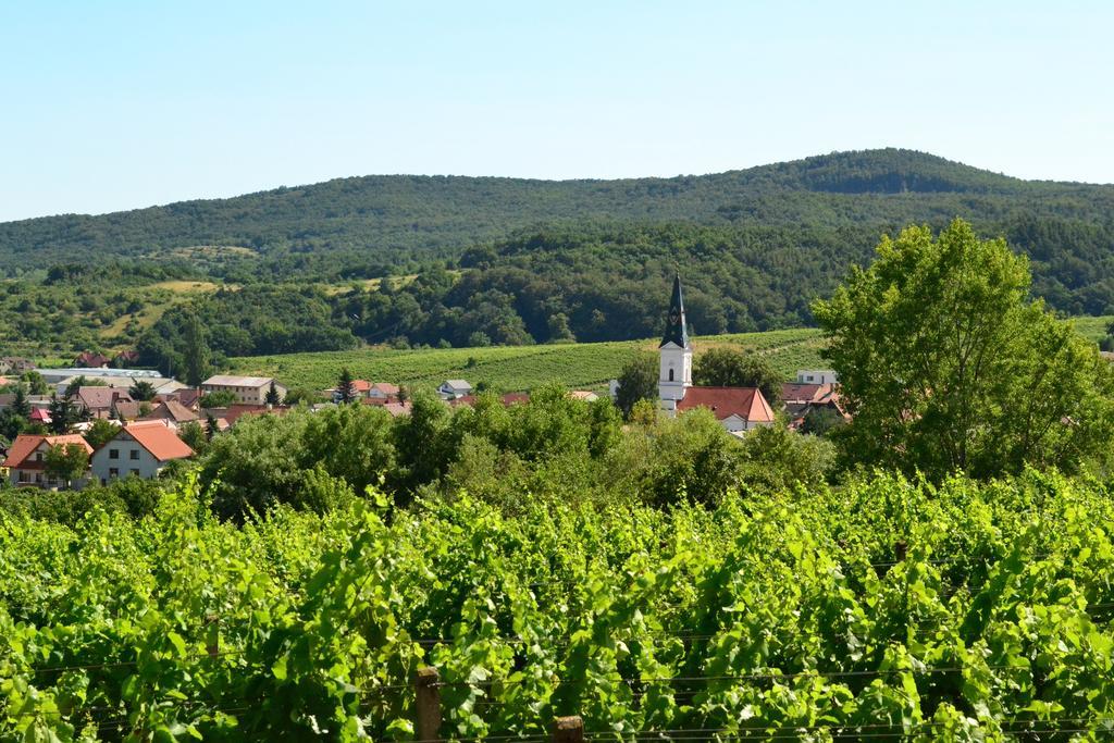 Villa Vinica Limbach Bagian luar foto