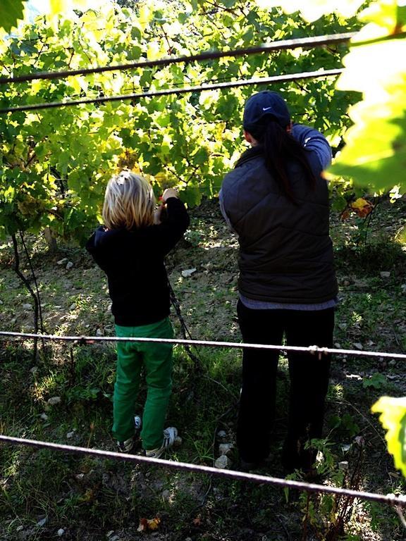 Villa Vinica Limbach Bagian luar foto