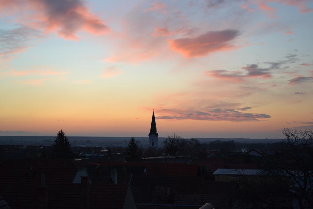 Villa Vinica Limbach Bagian luar foto