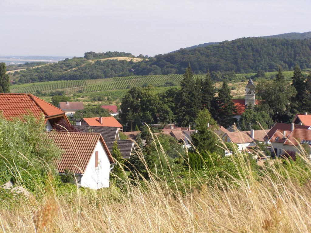 Villa Vinica Limbach Bagian luar foto