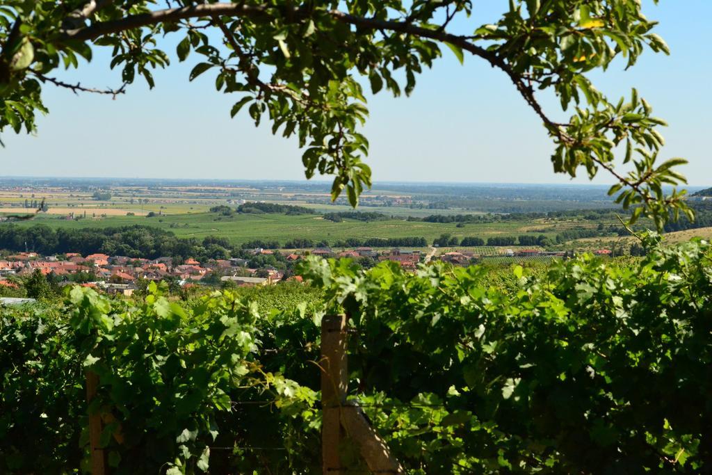 Villa Vinica Limbach Bagian luar foto