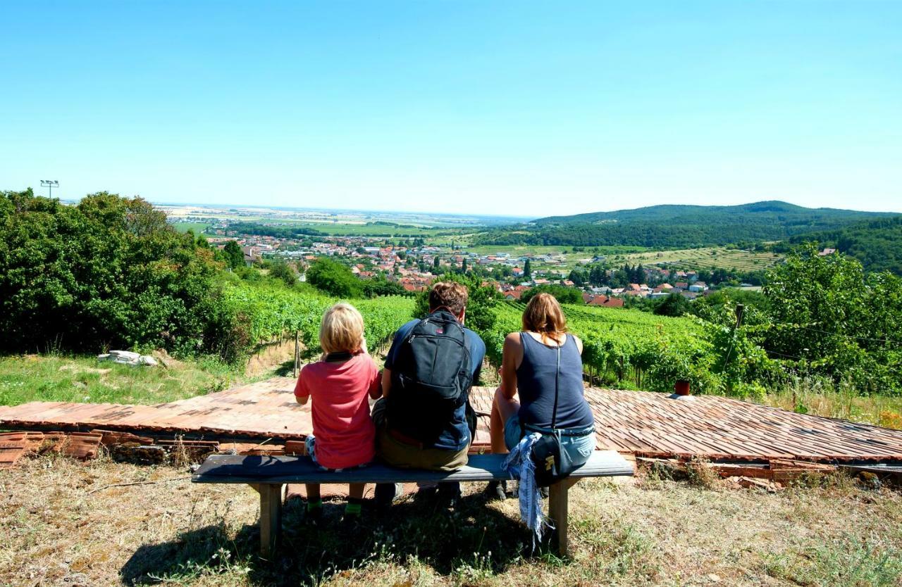 Villa Vinica Limbach Bagian luar foto